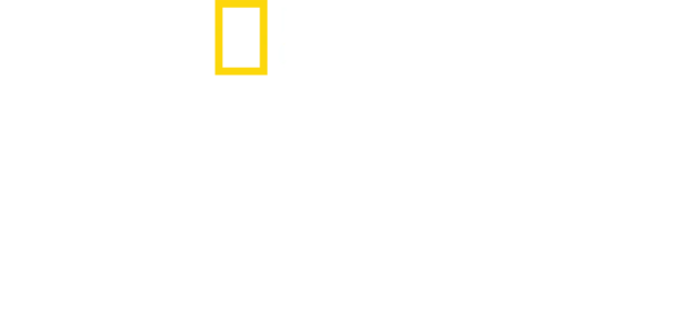 킹덤