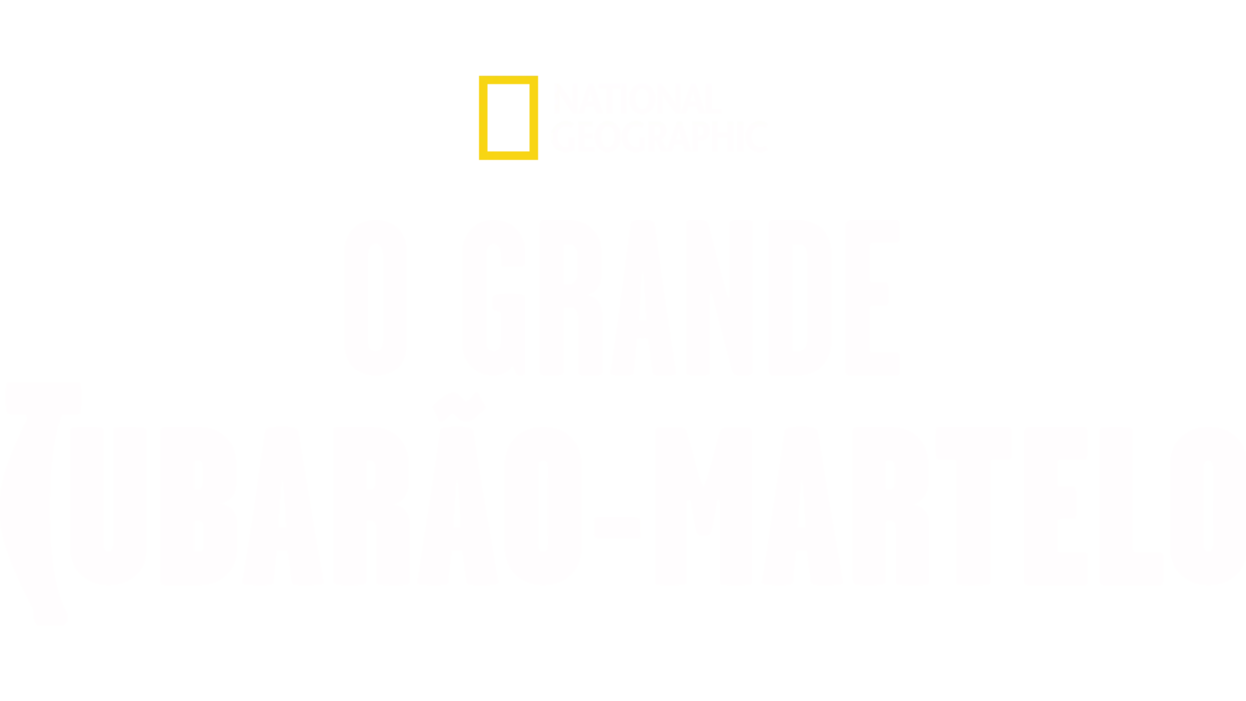 O Grande Tubarão-Martelo