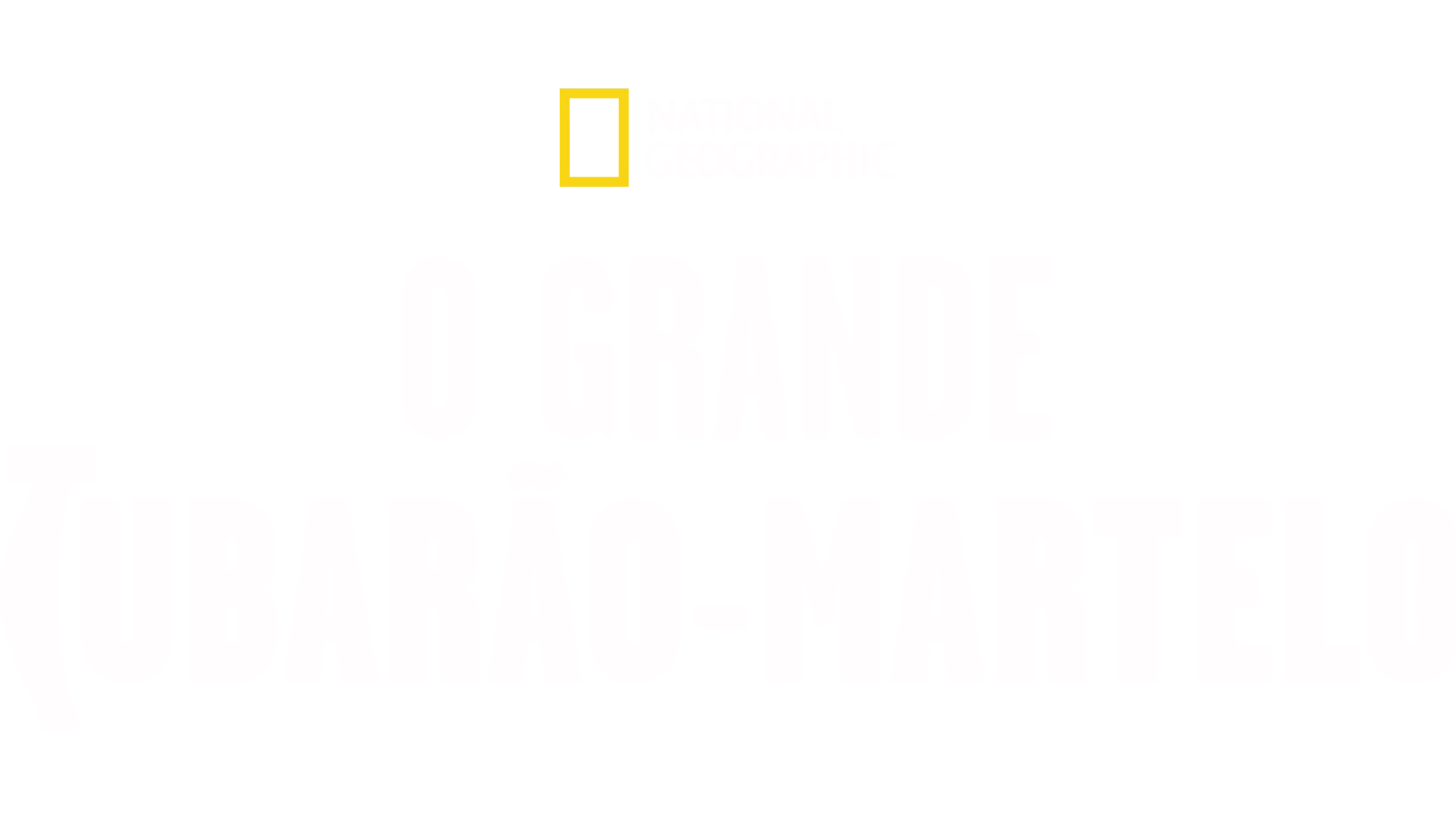 O Grande Tubarão-Martelo