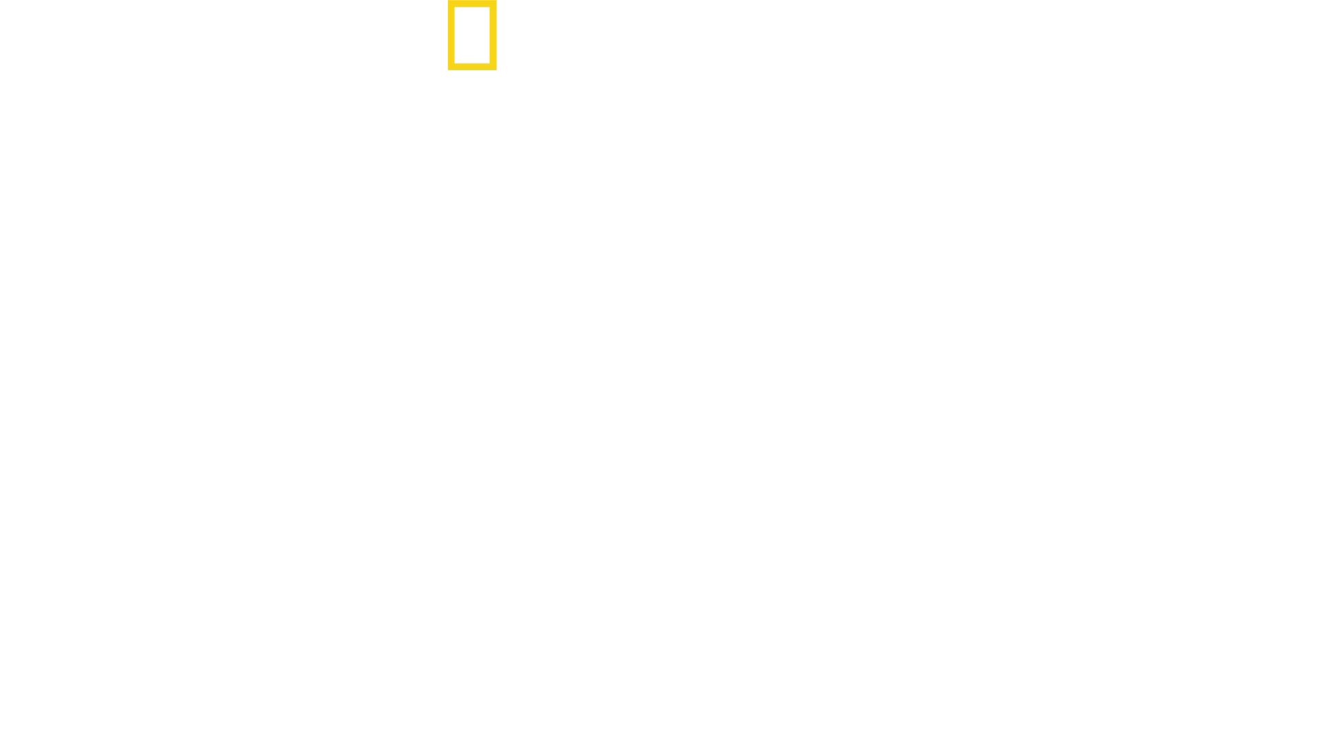 Žraloci zblízka s Bertiem Gregorym
