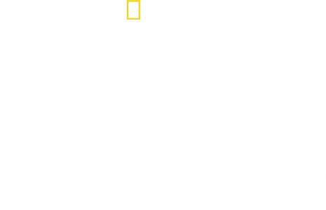 Žraloci zblízka s Bertiem Gregorym
