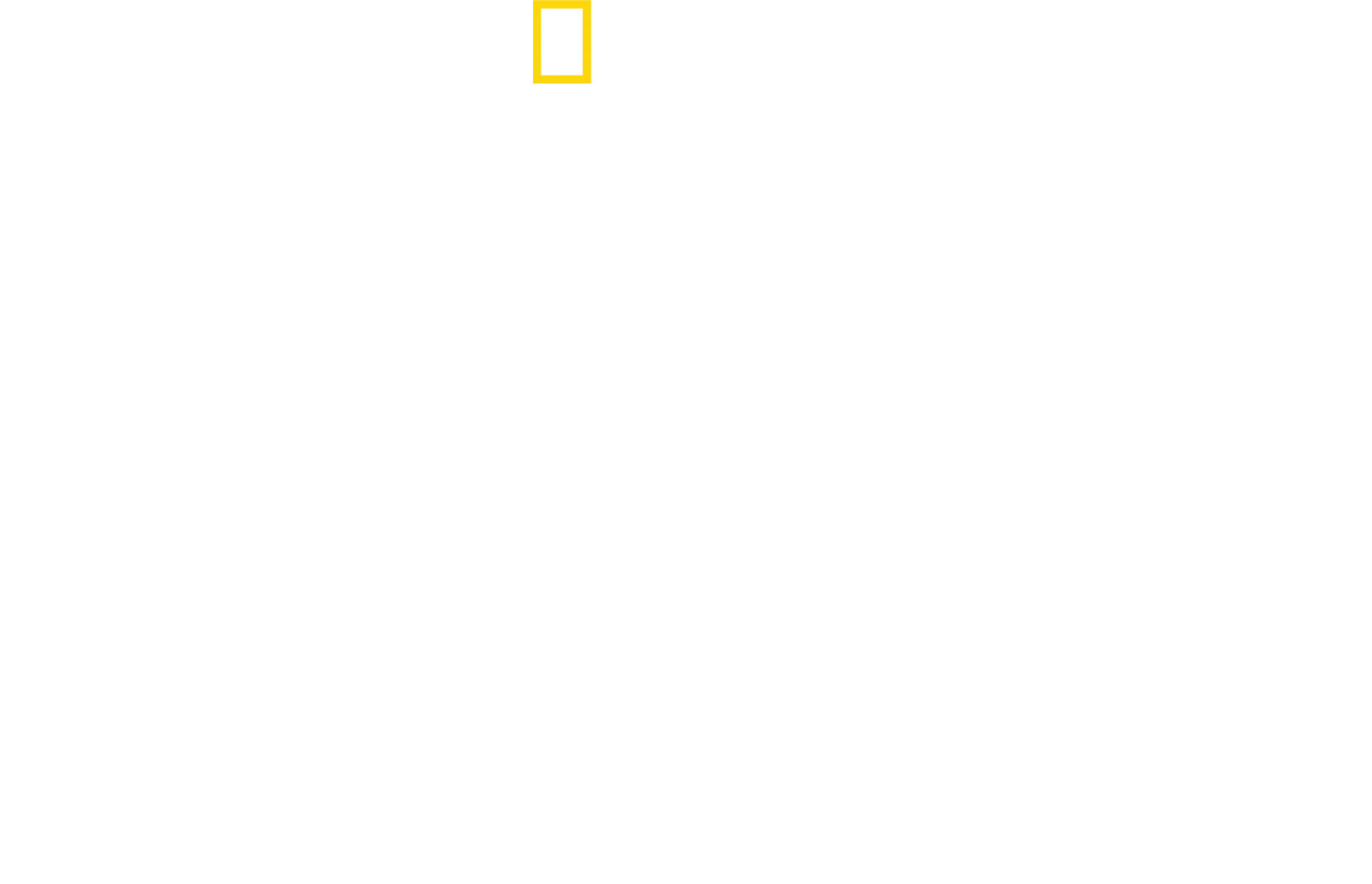 Žraloci zblízka s Bertiem Gregorym