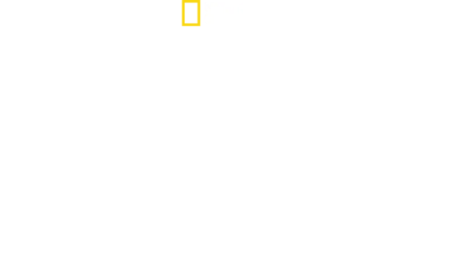 World's Deadliest Snakes