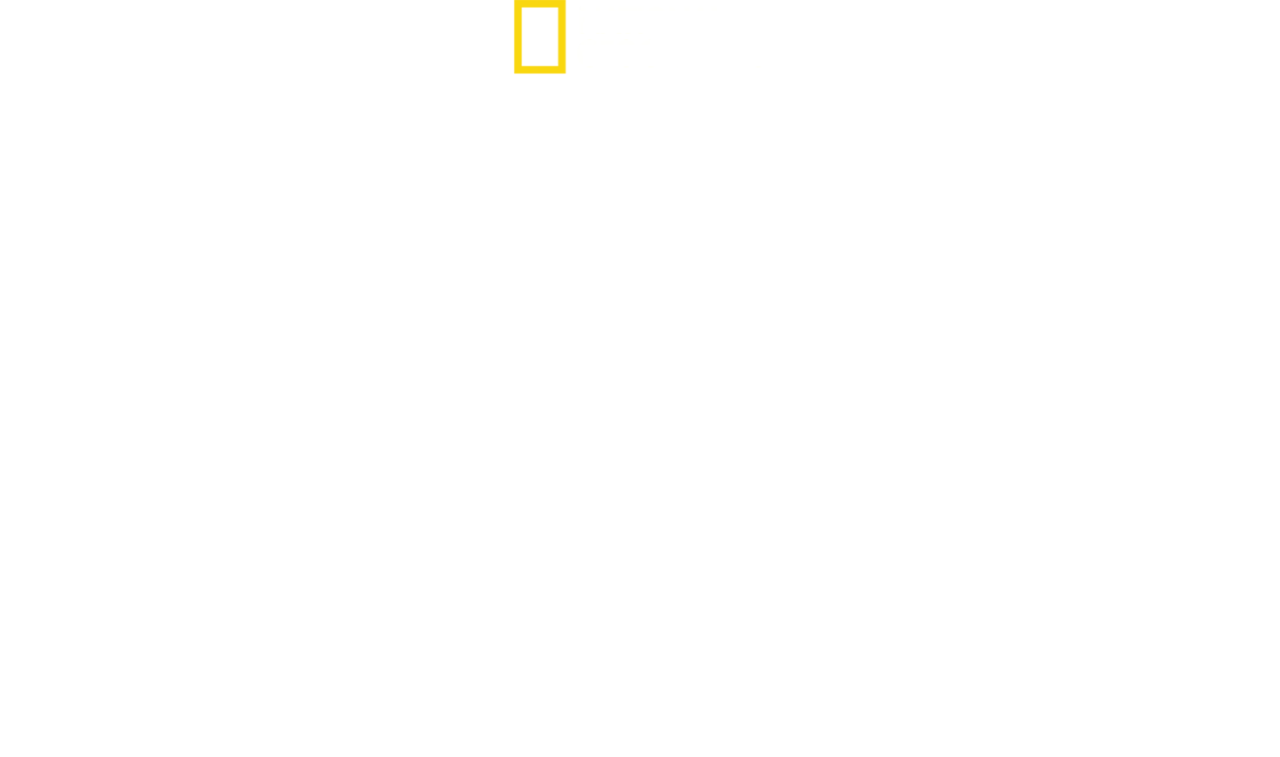 World's Deadliest Snakes