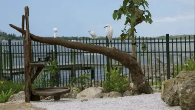 thumbnail - S2:E9 For the Birds