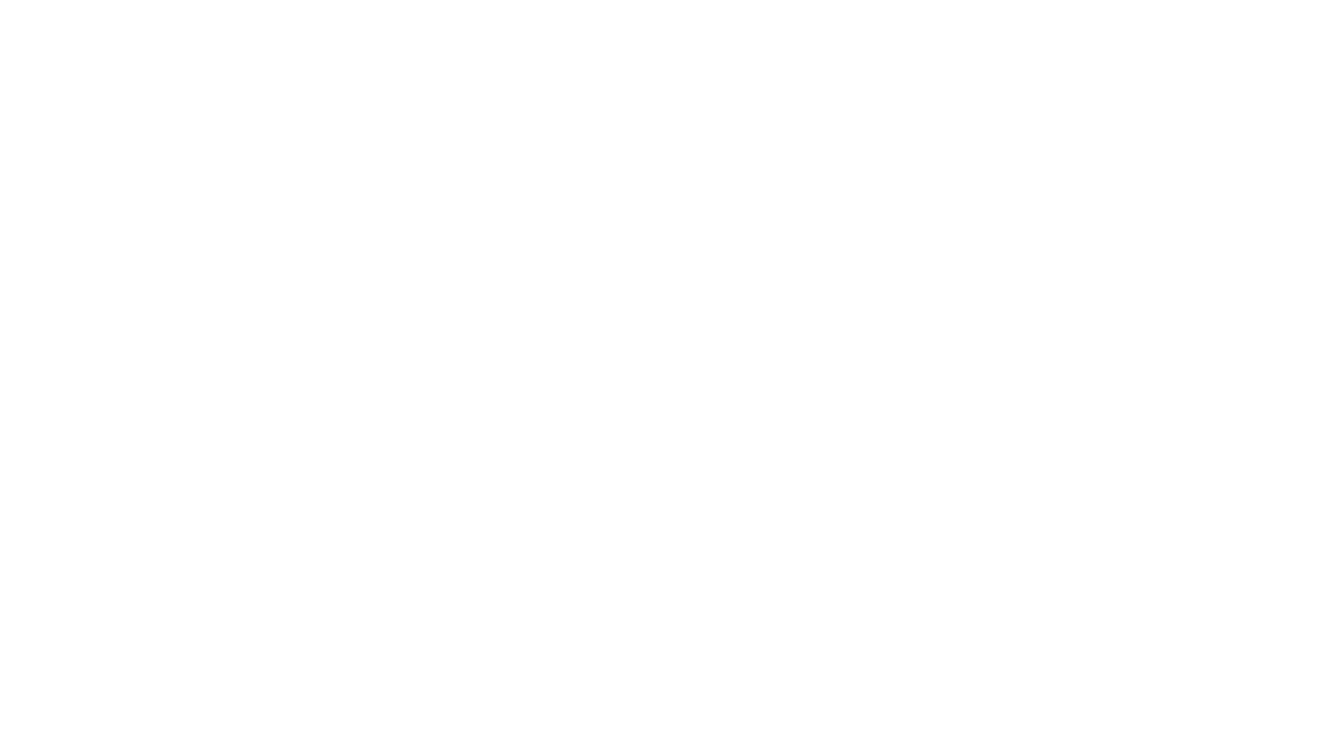 Nashorn im Galopp