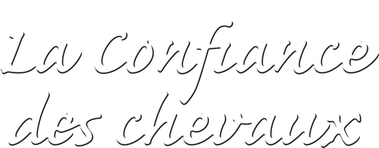 La Confiance des chevaux