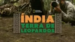 thumbnail - Índia: Terra de Leopardos