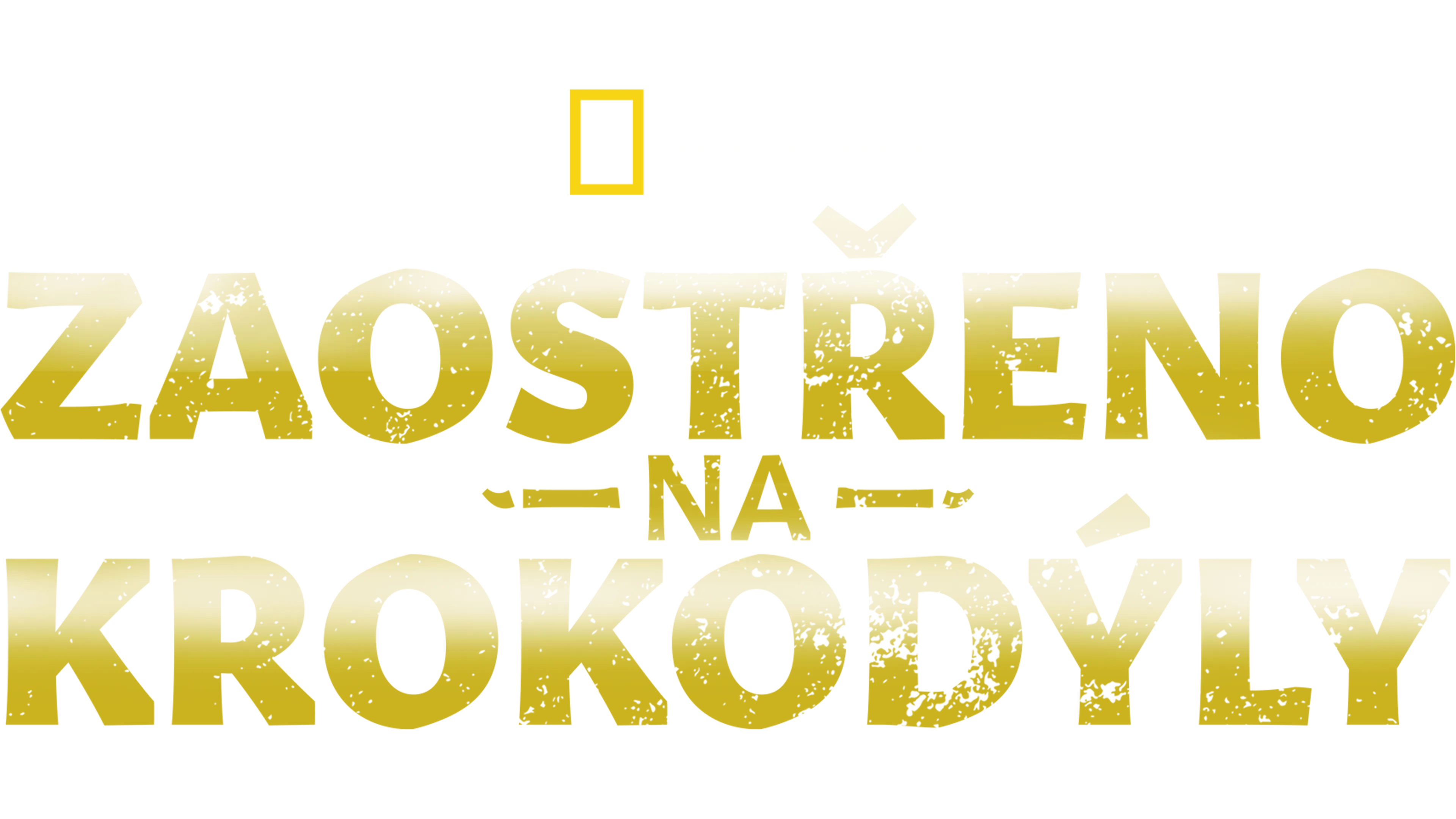 Zaostřeno na krokodýly