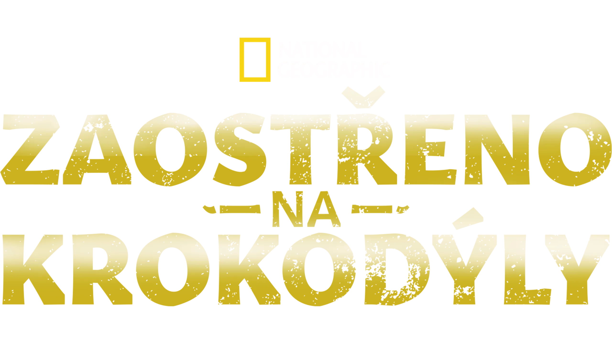 Zaostřeno na krokodýly