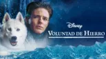 thumbnail - Voluntad de hierro