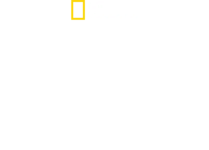 野性阿根廷