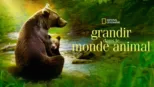 thumbnail - GRANDIR DANS LE MONDE ANIMAL