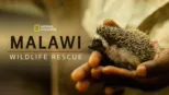 thumbnail - Malawi Wildlife Rescue