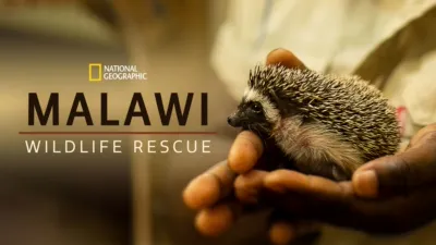 Malawi Wildlife Rescue