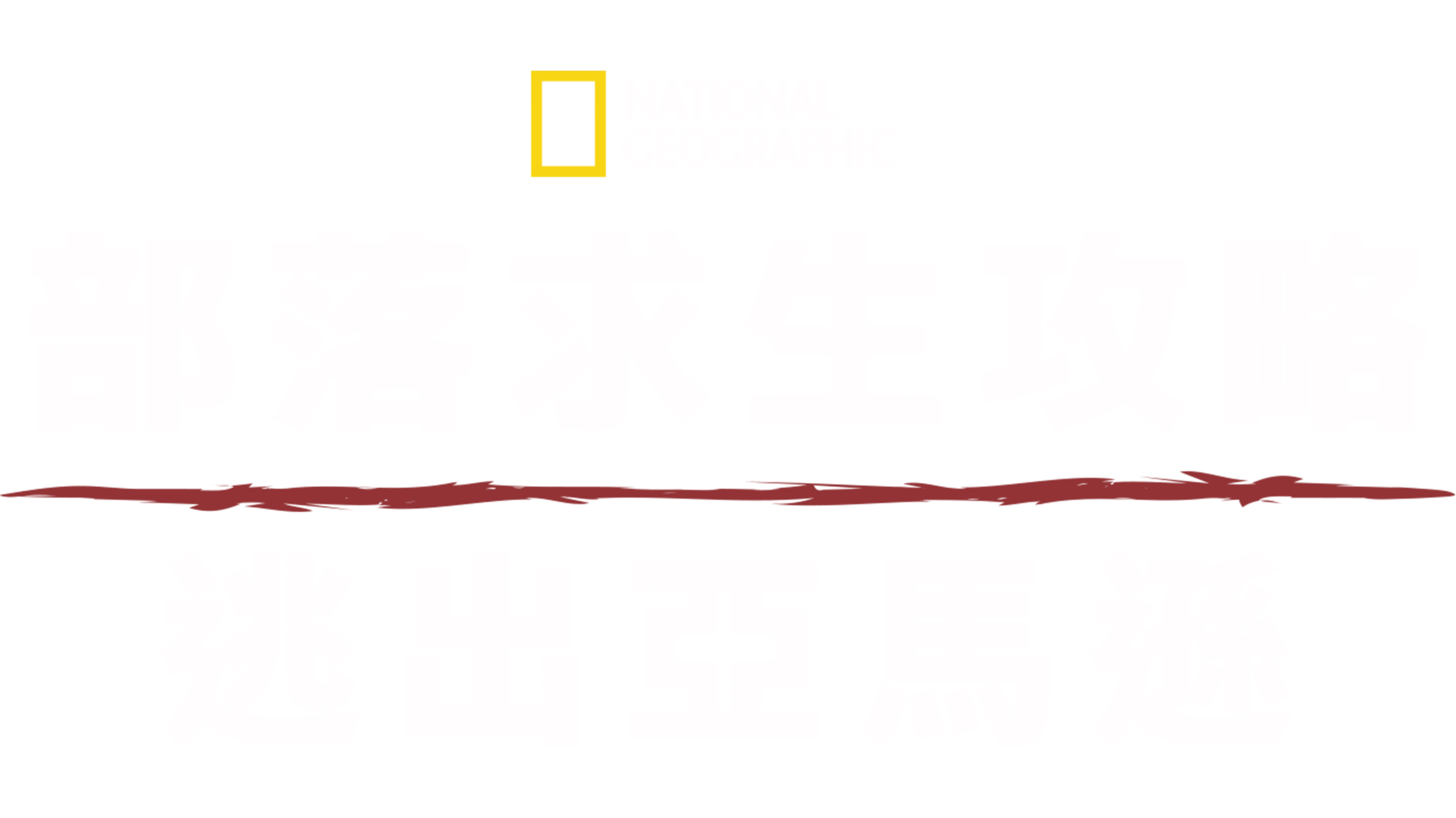 部落求生攻略：逃出亞馬遜