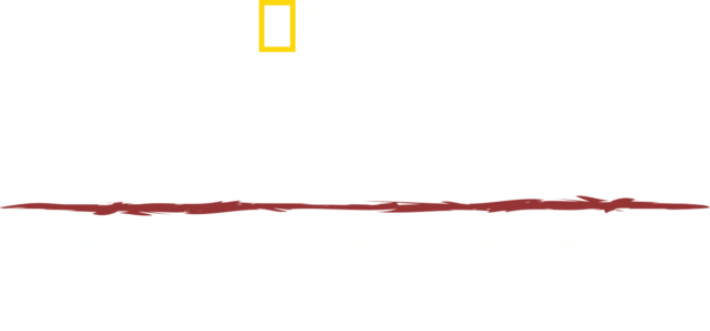 部落求生攻略：逃出亞馬遜