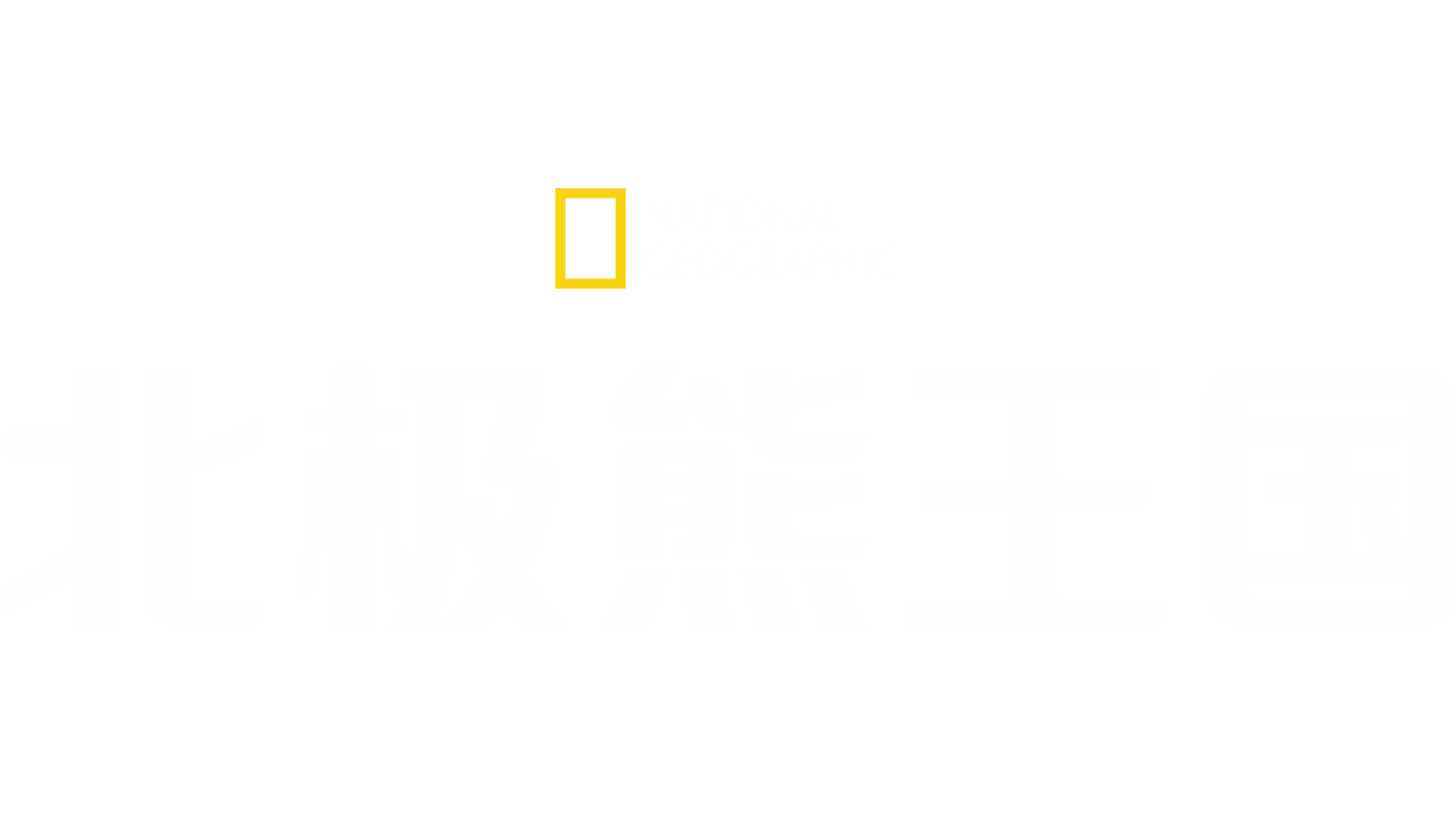 北极熊王国