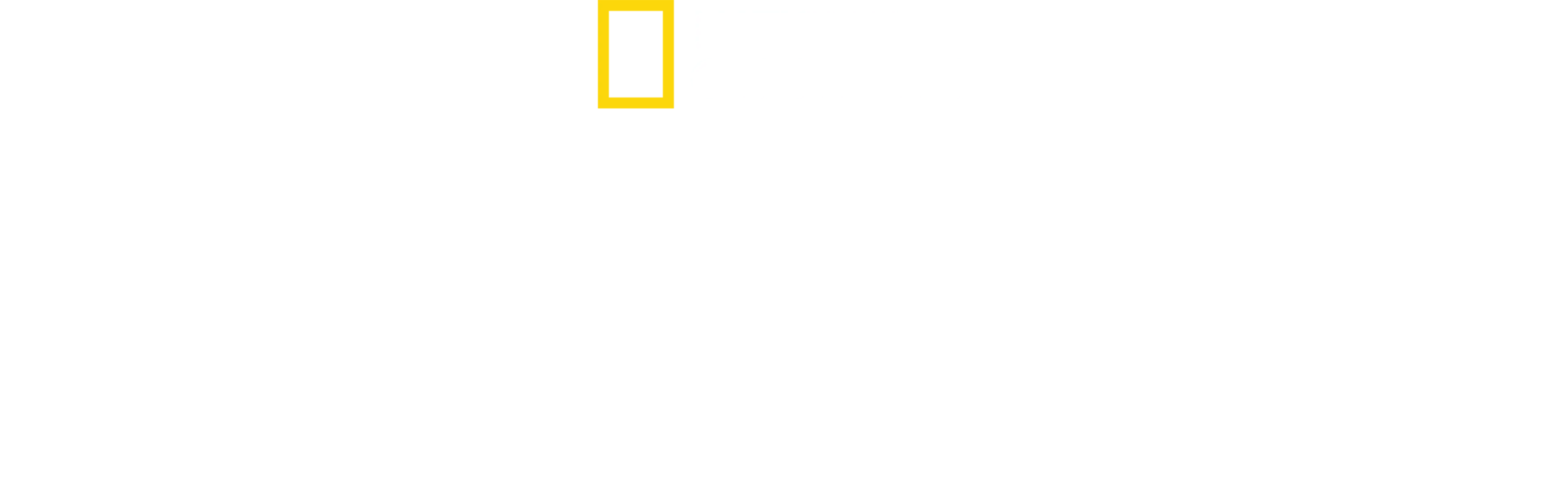 北极熊王国