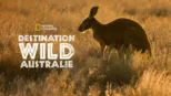 thumbnail - Wild Australia