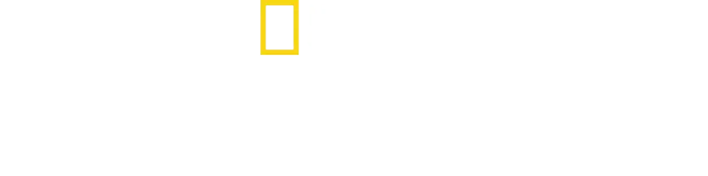 Προσφέροντας Φαγητό