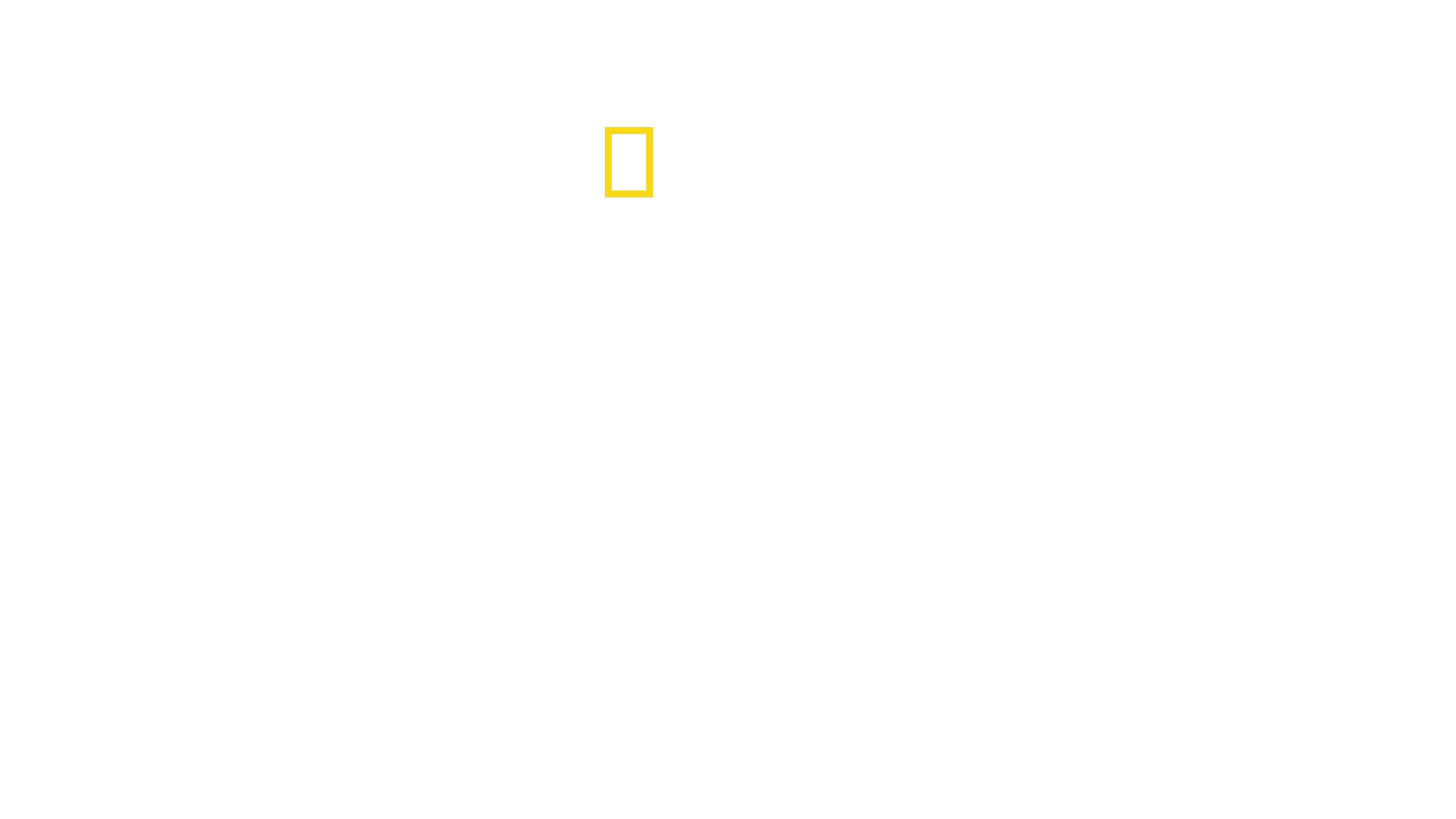 Planet der Vögel