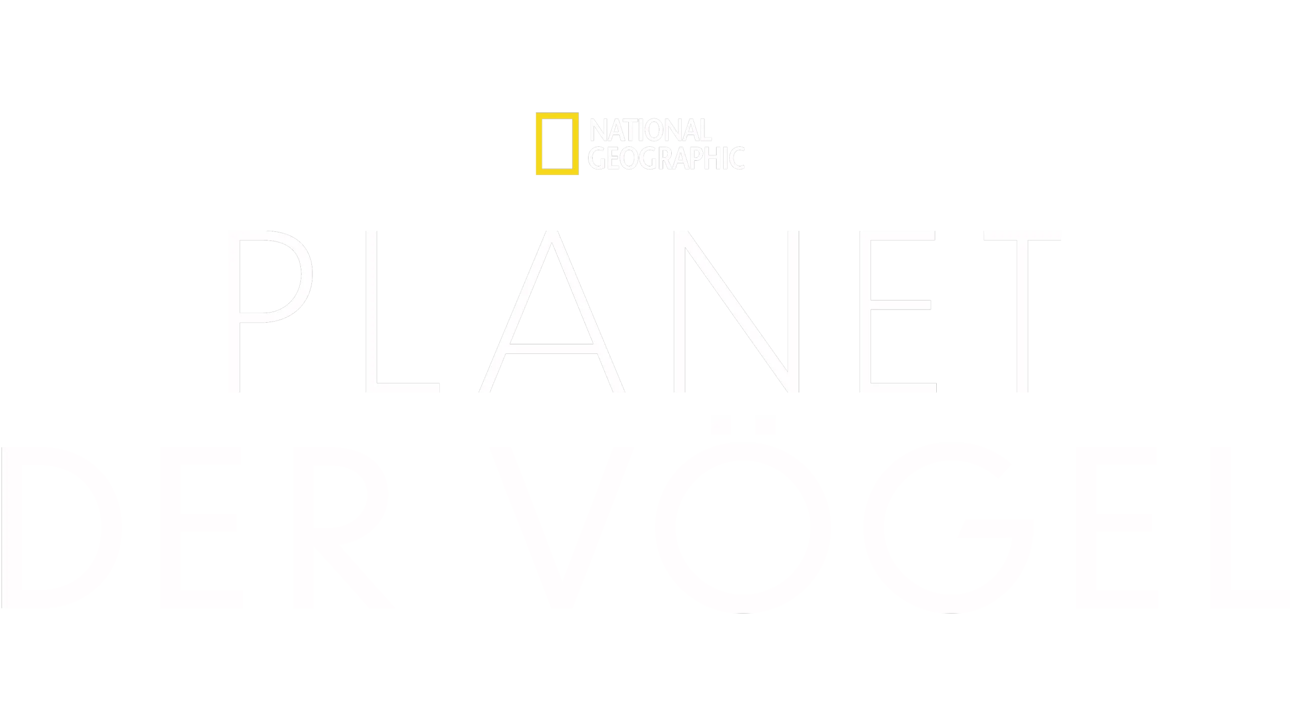 Planet der Vögel