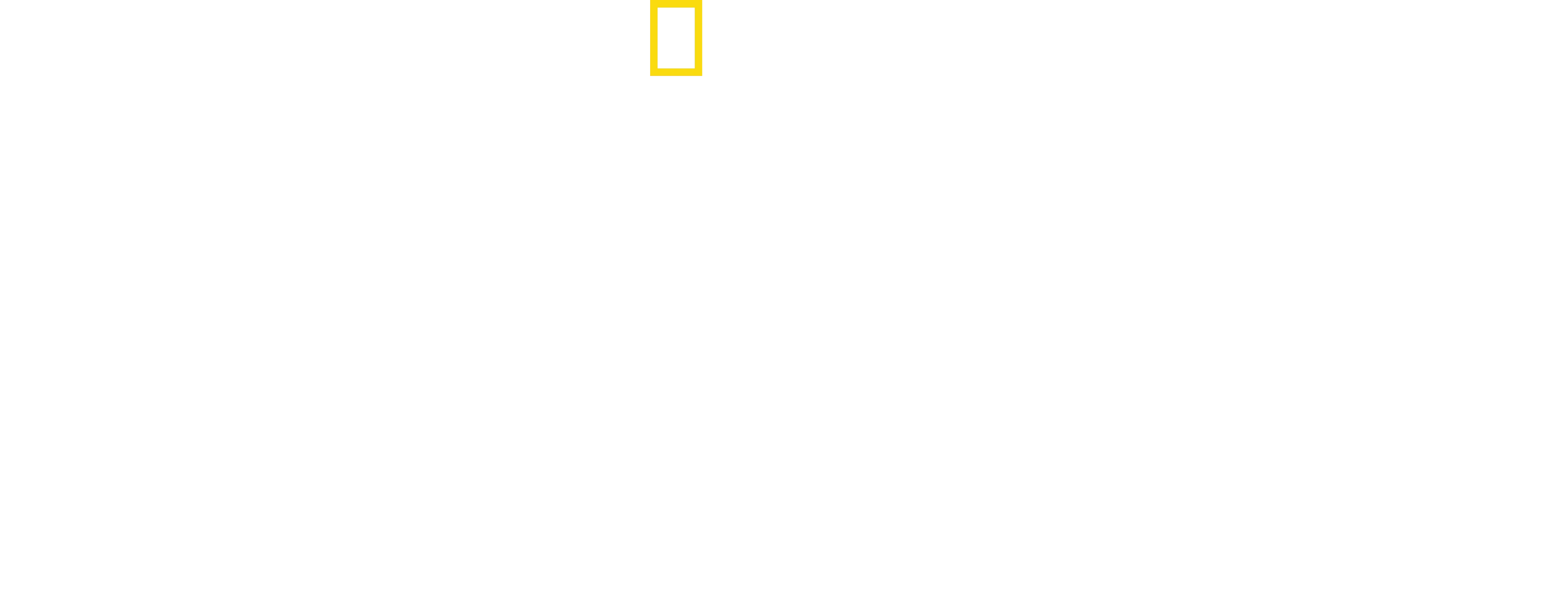 Planet der Vögel