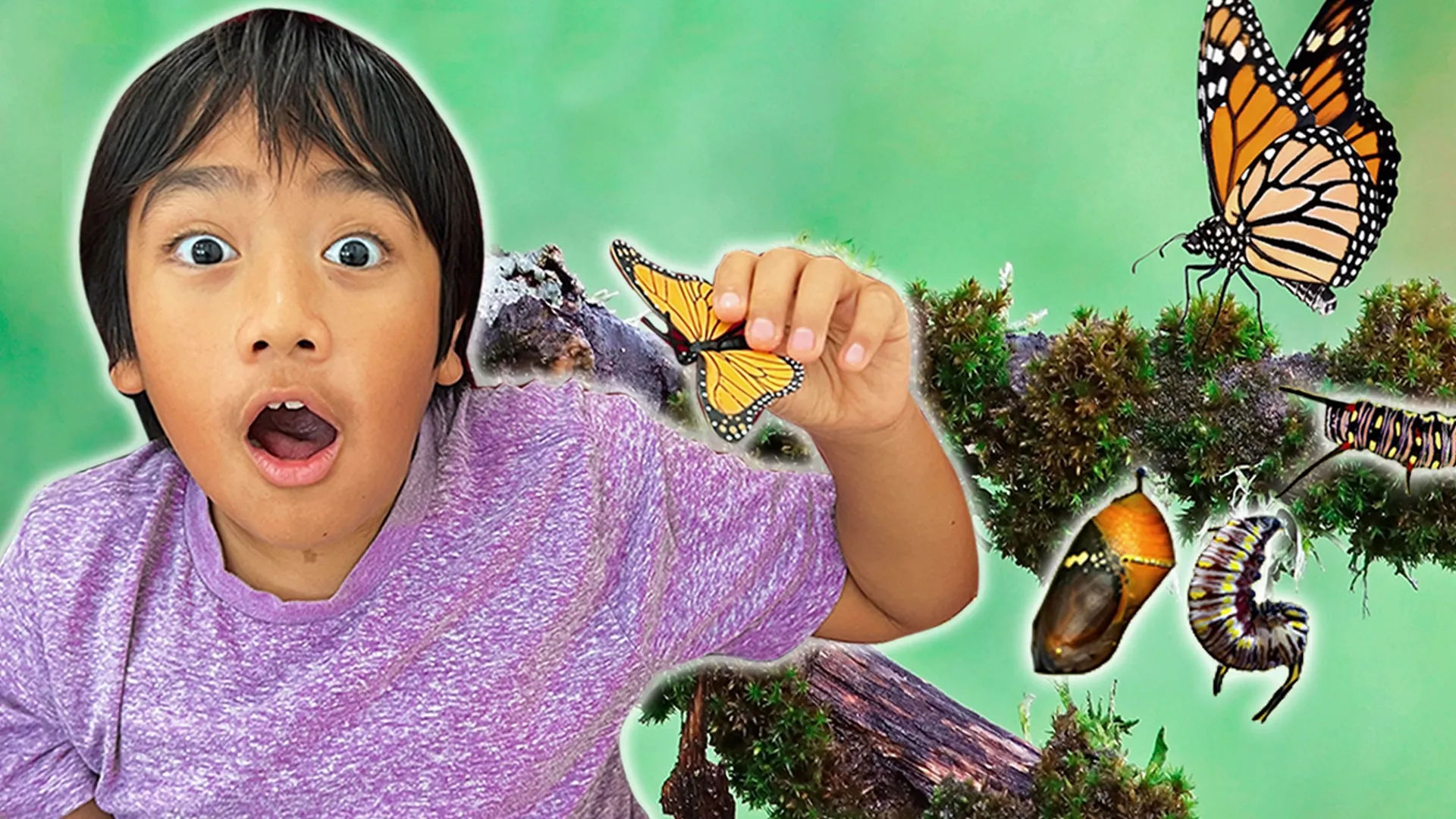 thumbnail - S1:E6 Insect Quest with Ryan!
