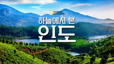 thumbnail - 하늘에서 본 인도