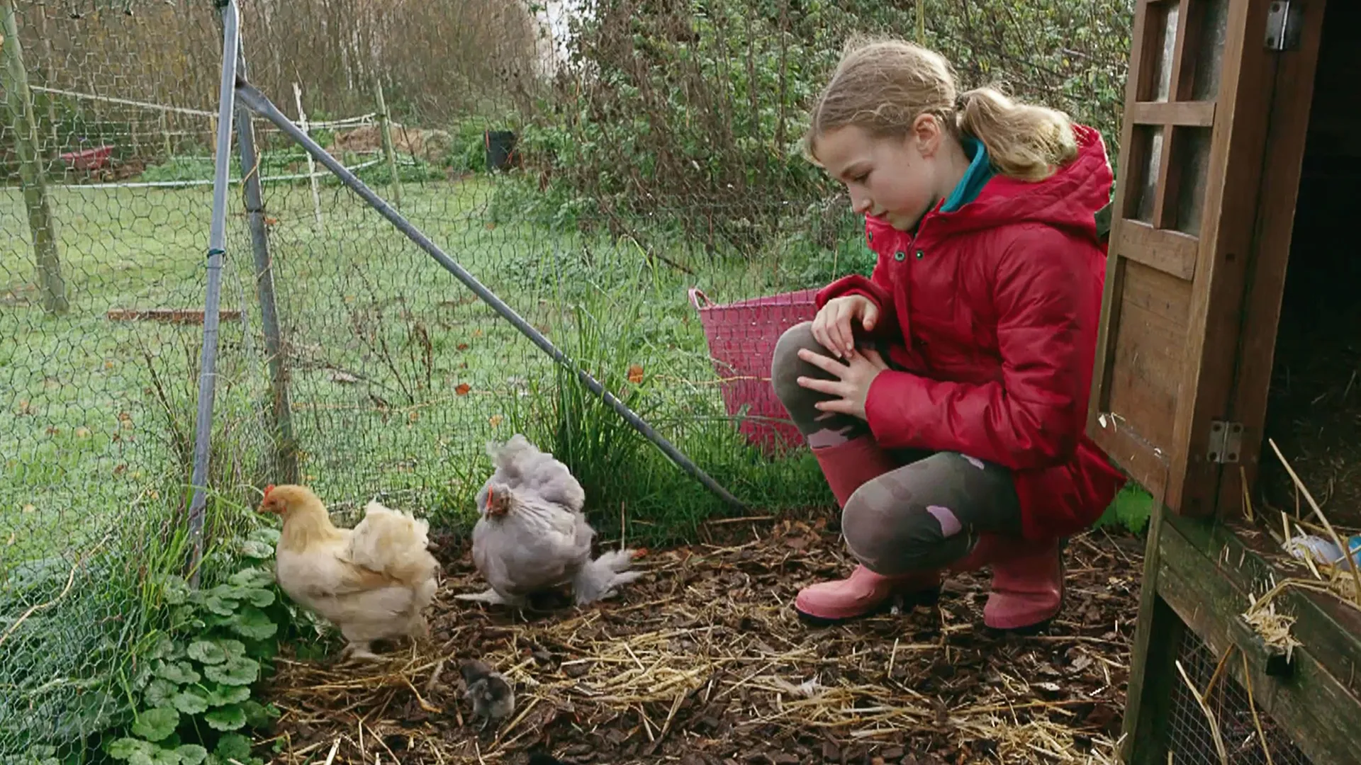 thumbnail - S1:E4 Pups A-Plenty and Chicks A-Laying