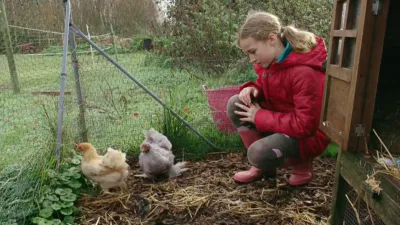 thumbnail - S1:E4 Pups A-Plenty and Chicks A-Laying