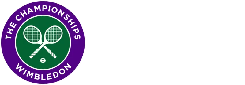 2010 Men's Wimbledon Final