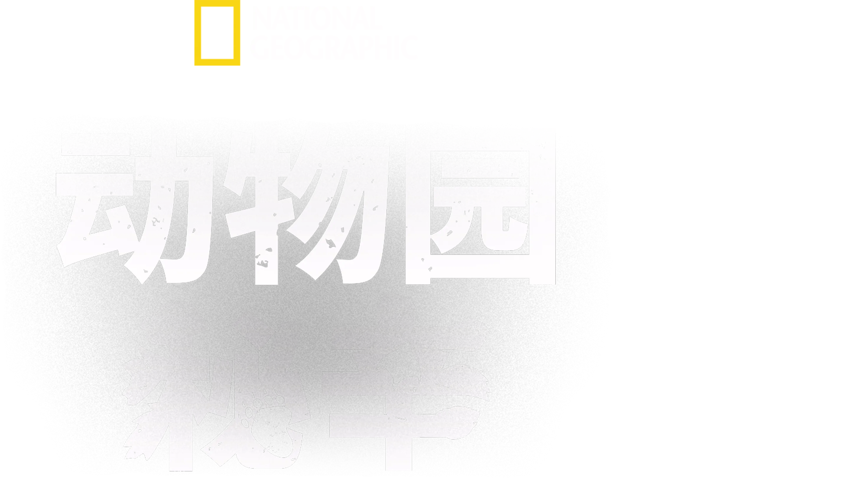 动物园秘辛