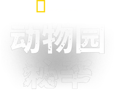 动物园秘辛