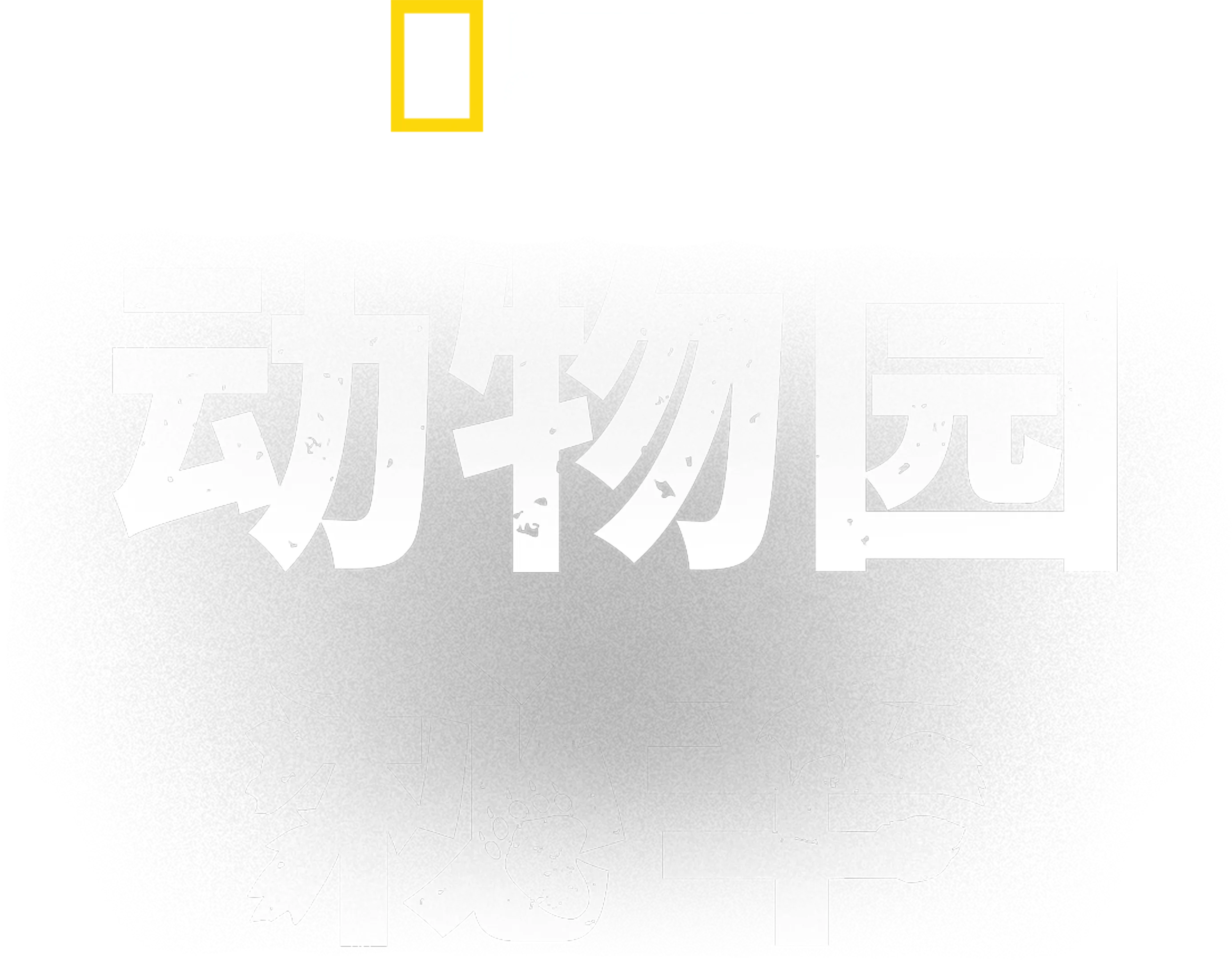 动物园秘辛