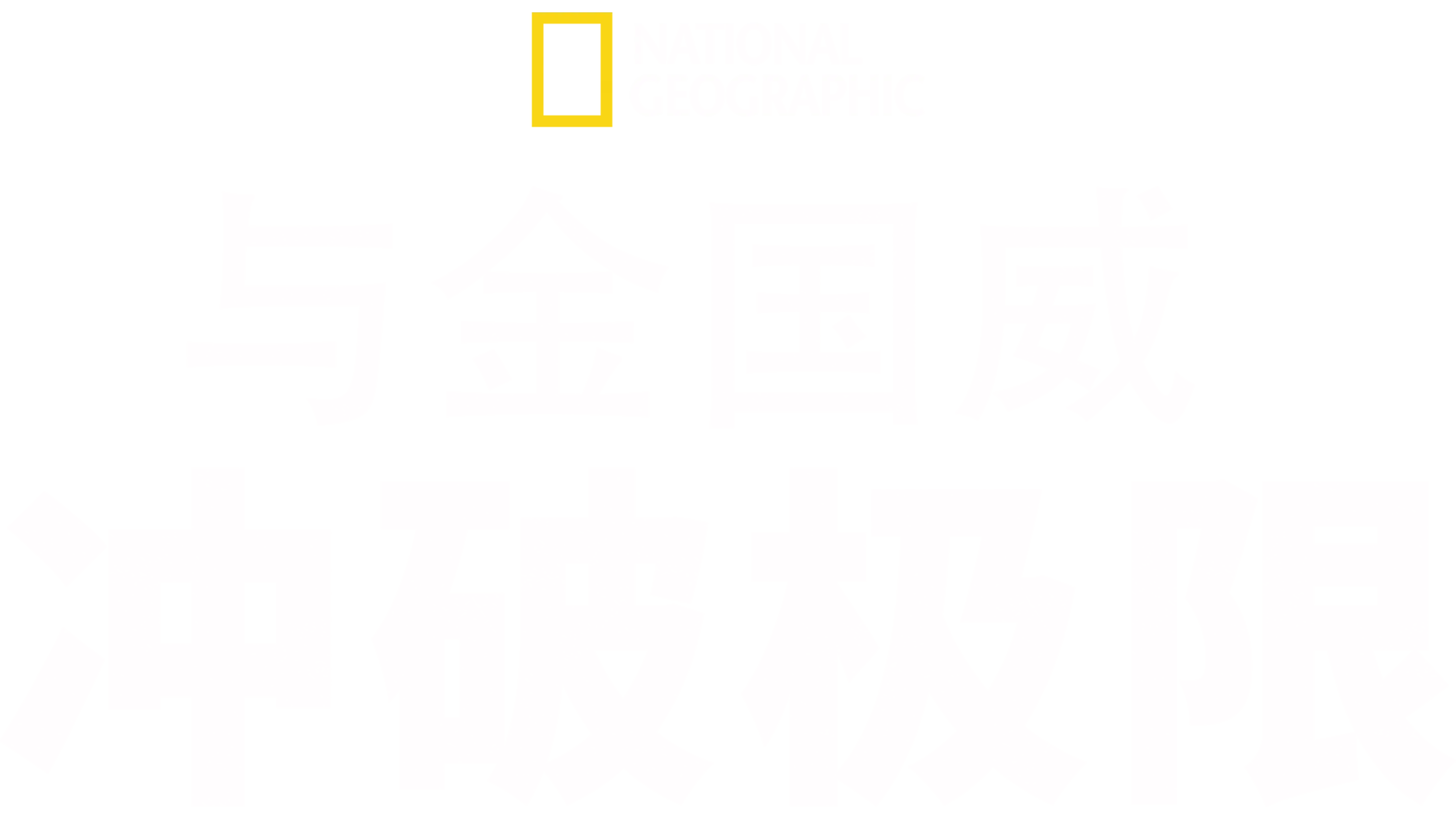 与金国威冲破极限