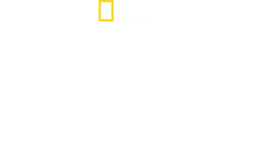 与金国威冲破极限