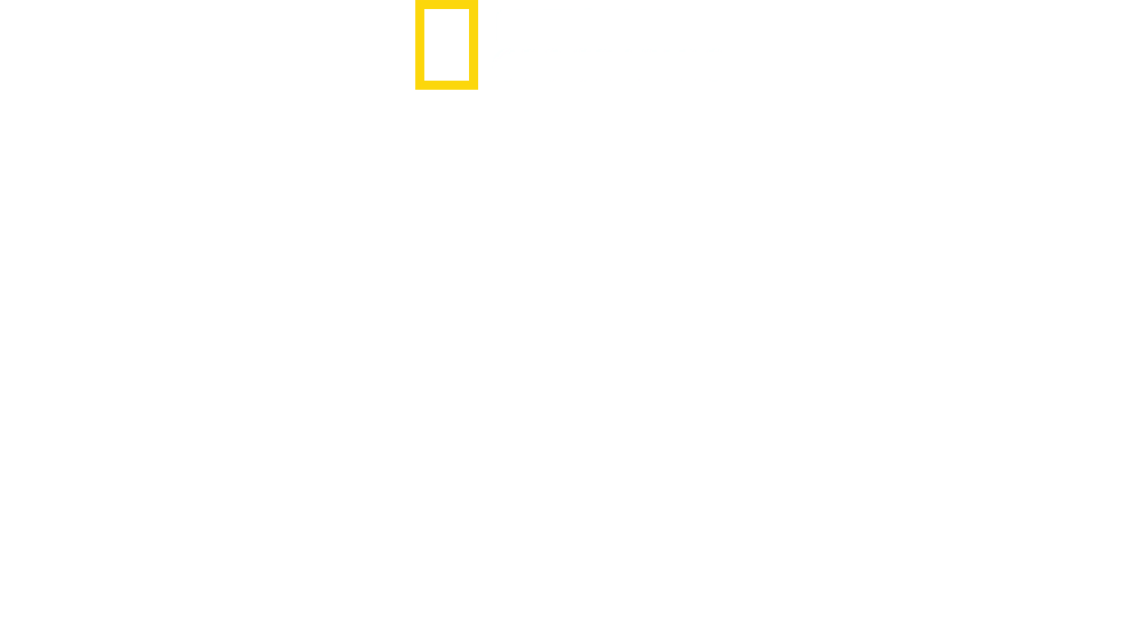 与金国威冲破极限