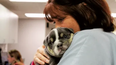 thumbnail - S1：第3話「犬:義足の必要性」