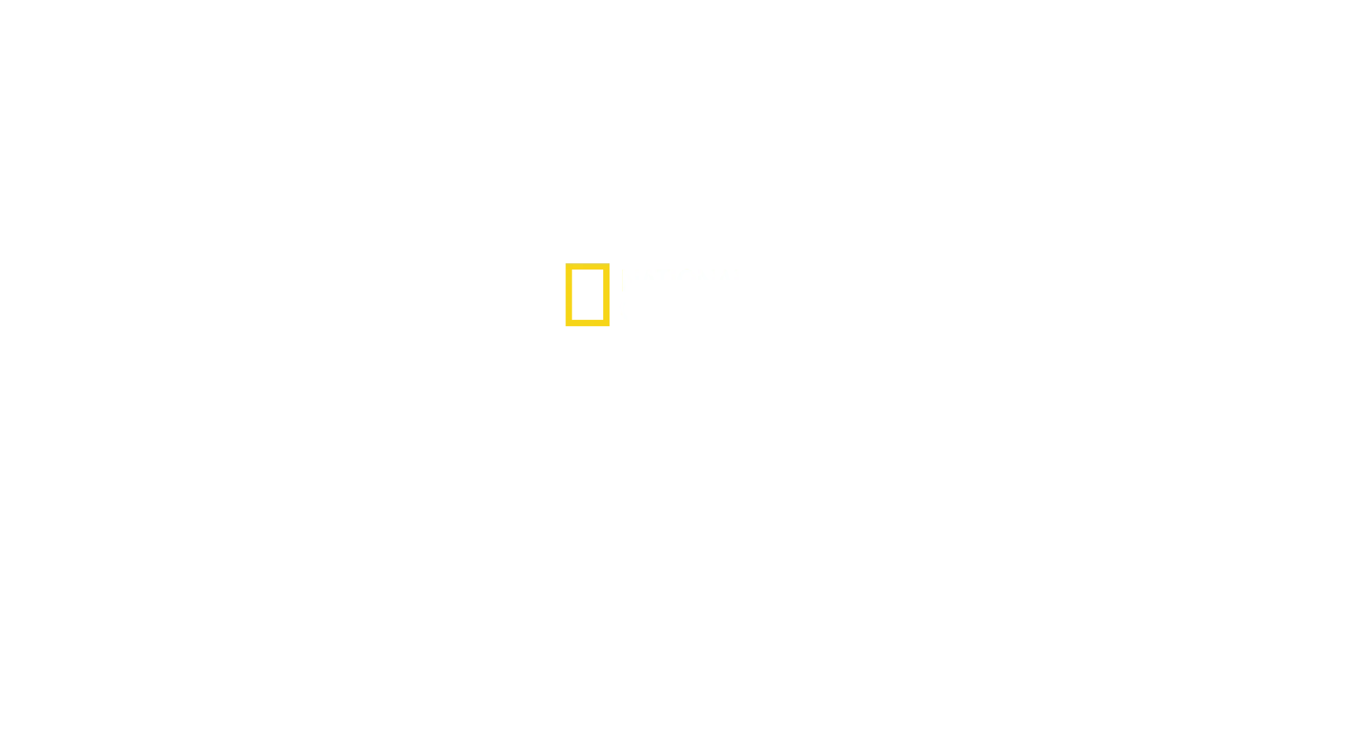 Hai vs. tonnikala