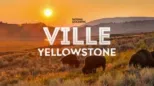 thumbnail - Ville Yellowstone