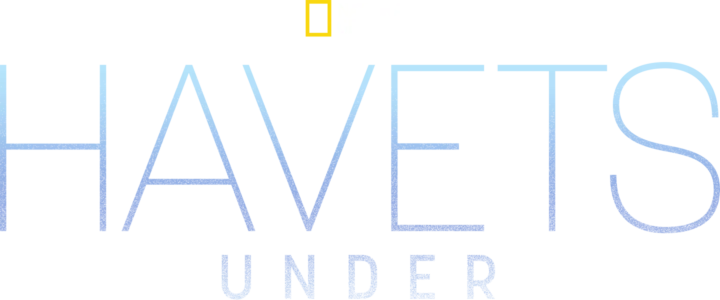 Havets under