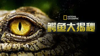 鳄鱼大揭秘
