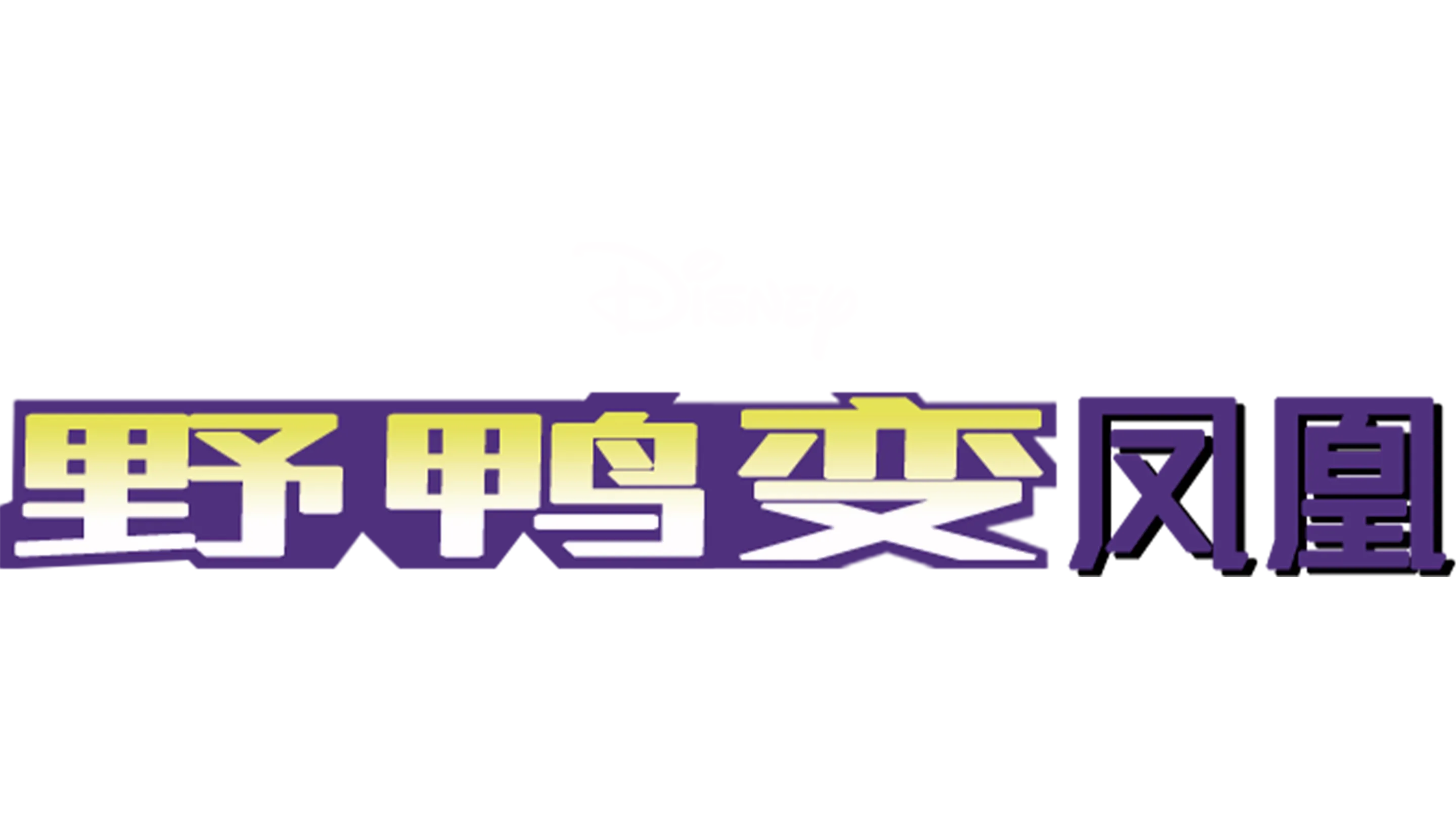 野鸭变凤凰