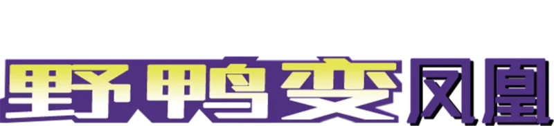 野鸭变凤凰