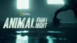 thumbnail - Animal Fight Night