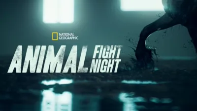 Animal Fight Night