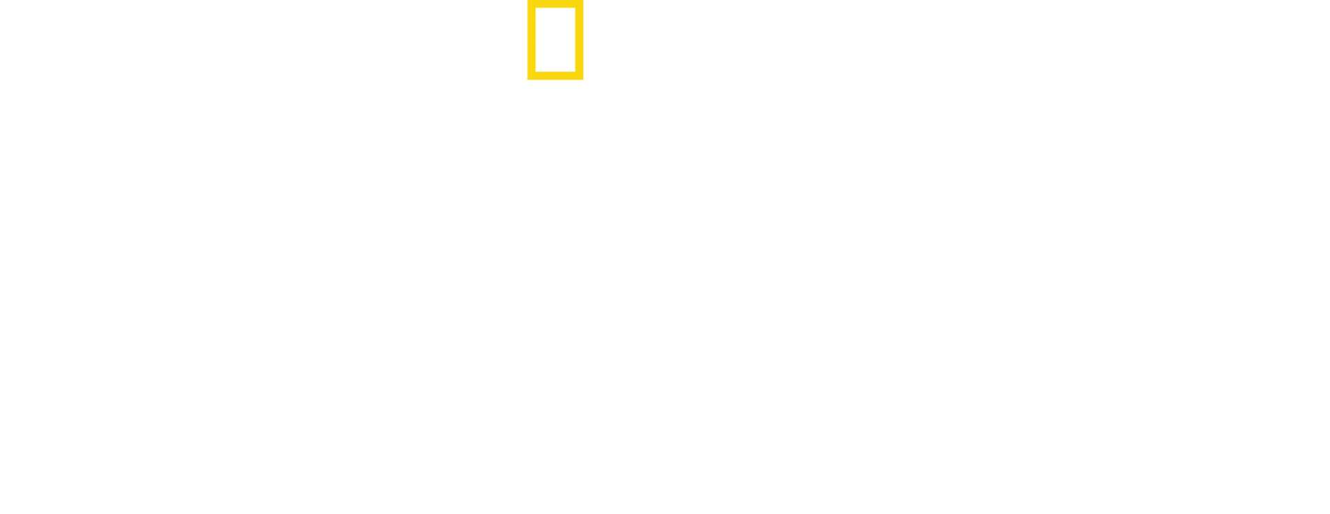 Secretos de los elefantes