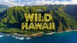 thumbnail - Wild Hawaii